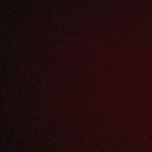 Meet your Posher, Ava